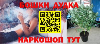 ГАЛЛЮЦИНОГЕННЫЕ ГРИБЫ Заводоуковск