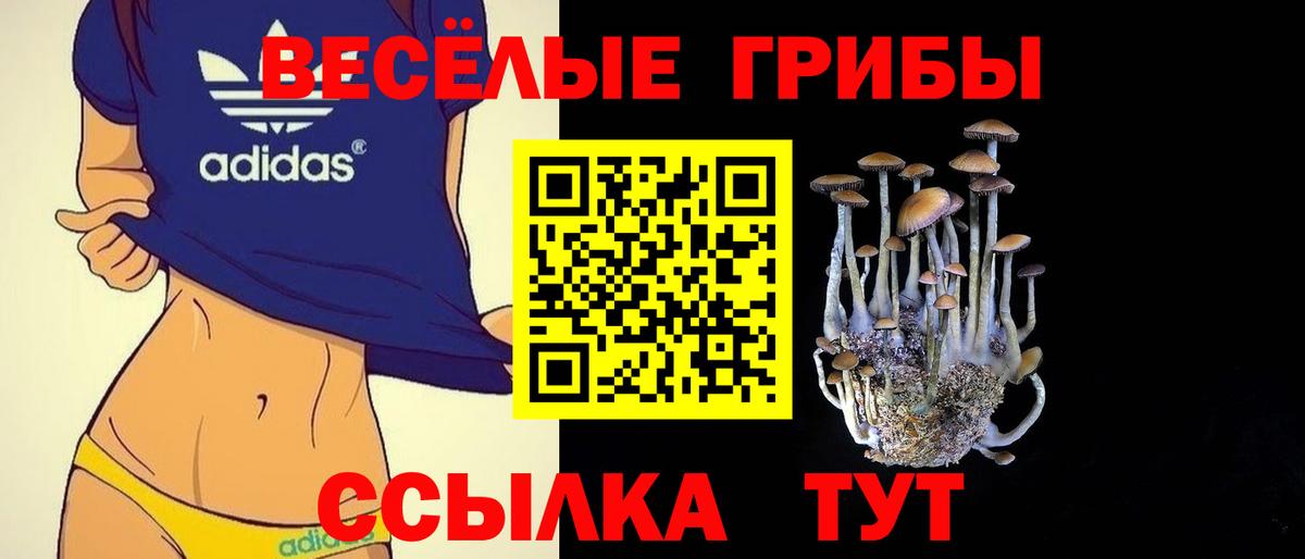 Псилоцибиновые грибы Psilocybine cubensis  Вход с VPN  Новодвинск  Галлюциногенные грибы Psilocybe 